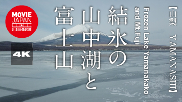 山梨　結氷の山中湖と富士山