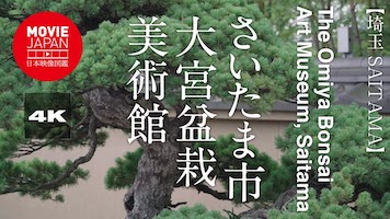 さいたま市大宮盆栽美術館