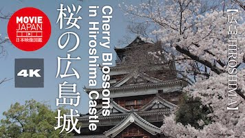 桜の広島城