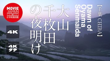 千葉　大山千枚田の夜明け