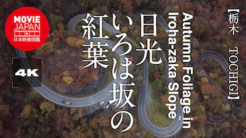 栃木　日光いろは坂の紅葉