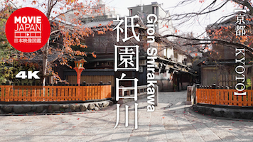 京都　祇園白川